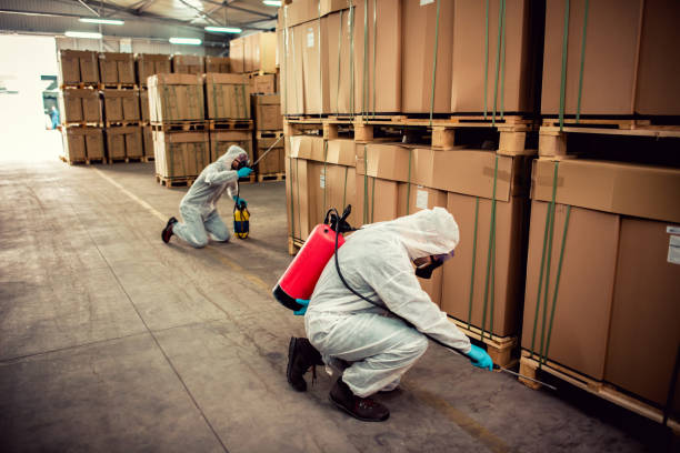Pest Prevention Services in South Waverly, PA