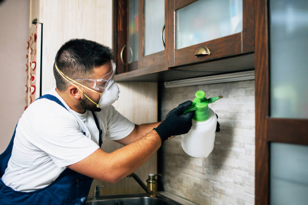 Best Pest Control Near Me  in South Waverly, PA